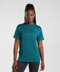 gymshark-adapt-animal-seamless-t-shirt-reef-winter-teal-aw22