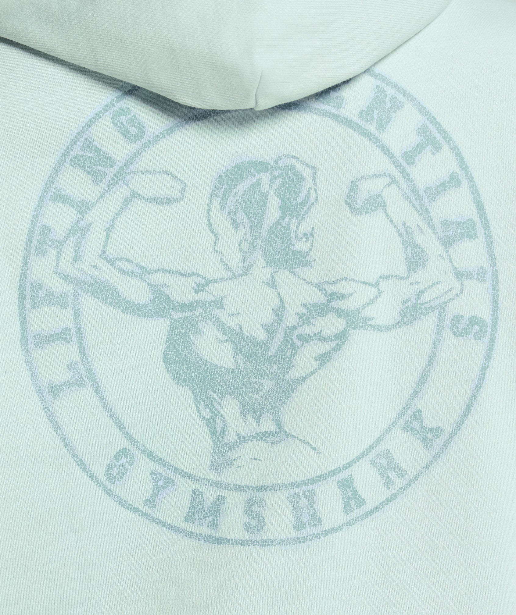 gymshark-back-gains-graphic-hoodie-morning-blue-ss25