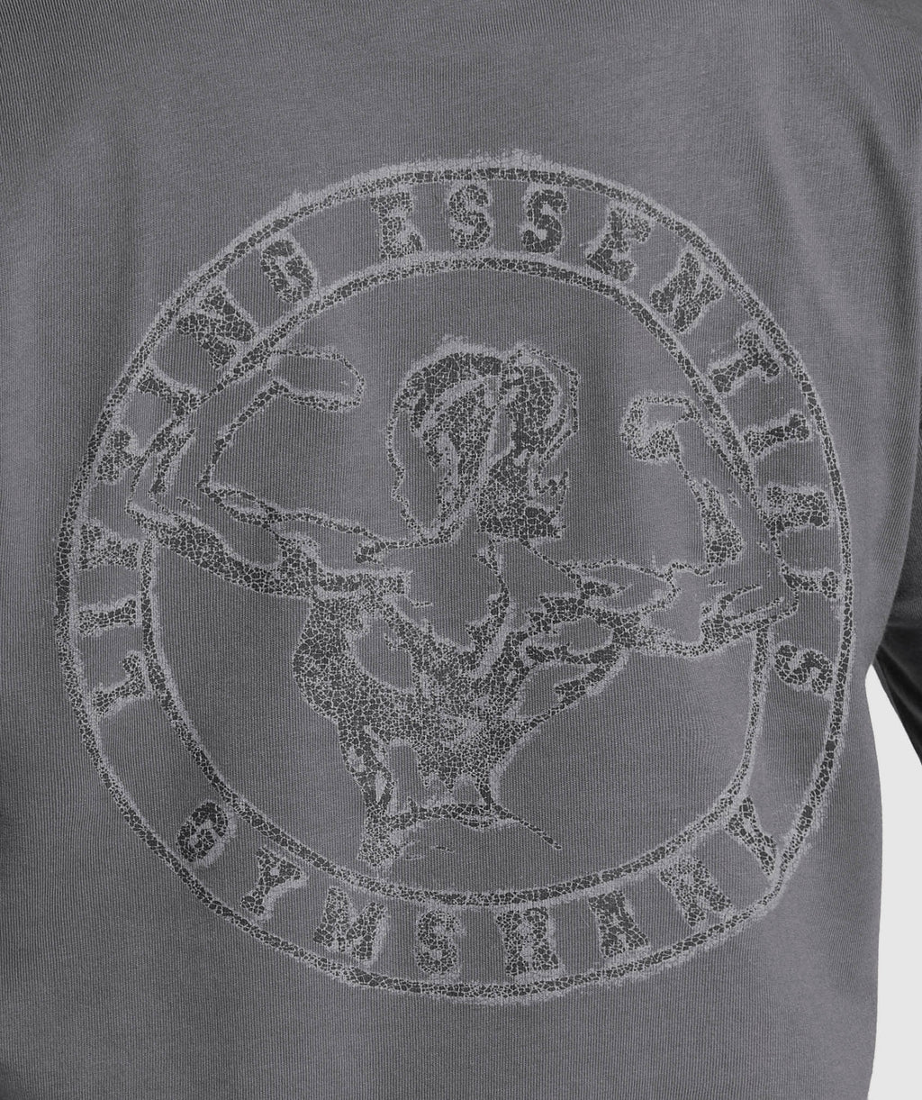 gymshark-back-gains-graphic-oversized-tee-graphite-grey-ss25