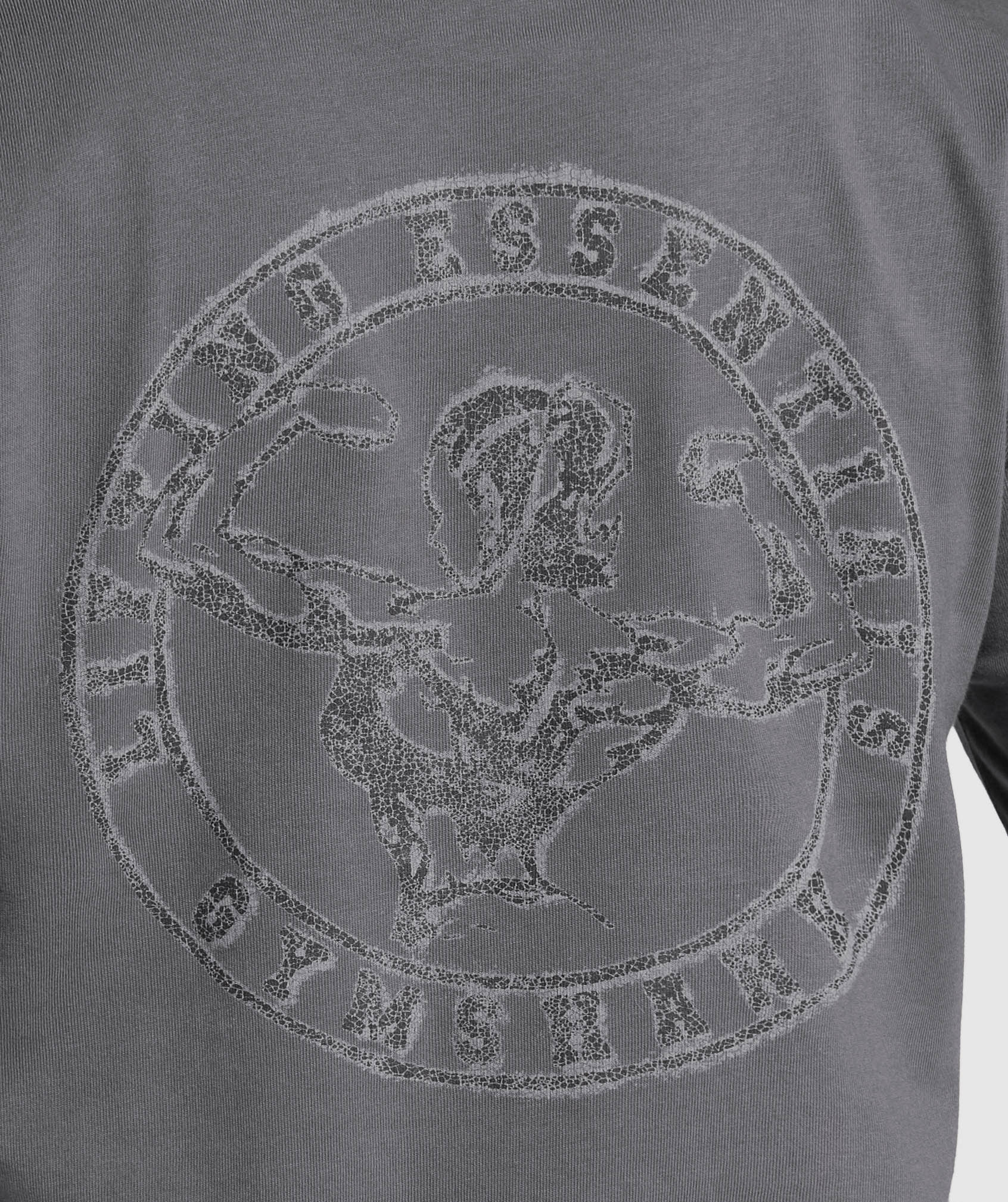 gymshark-back-gains-graphic-oversized-tee-graphite-grey-ss25