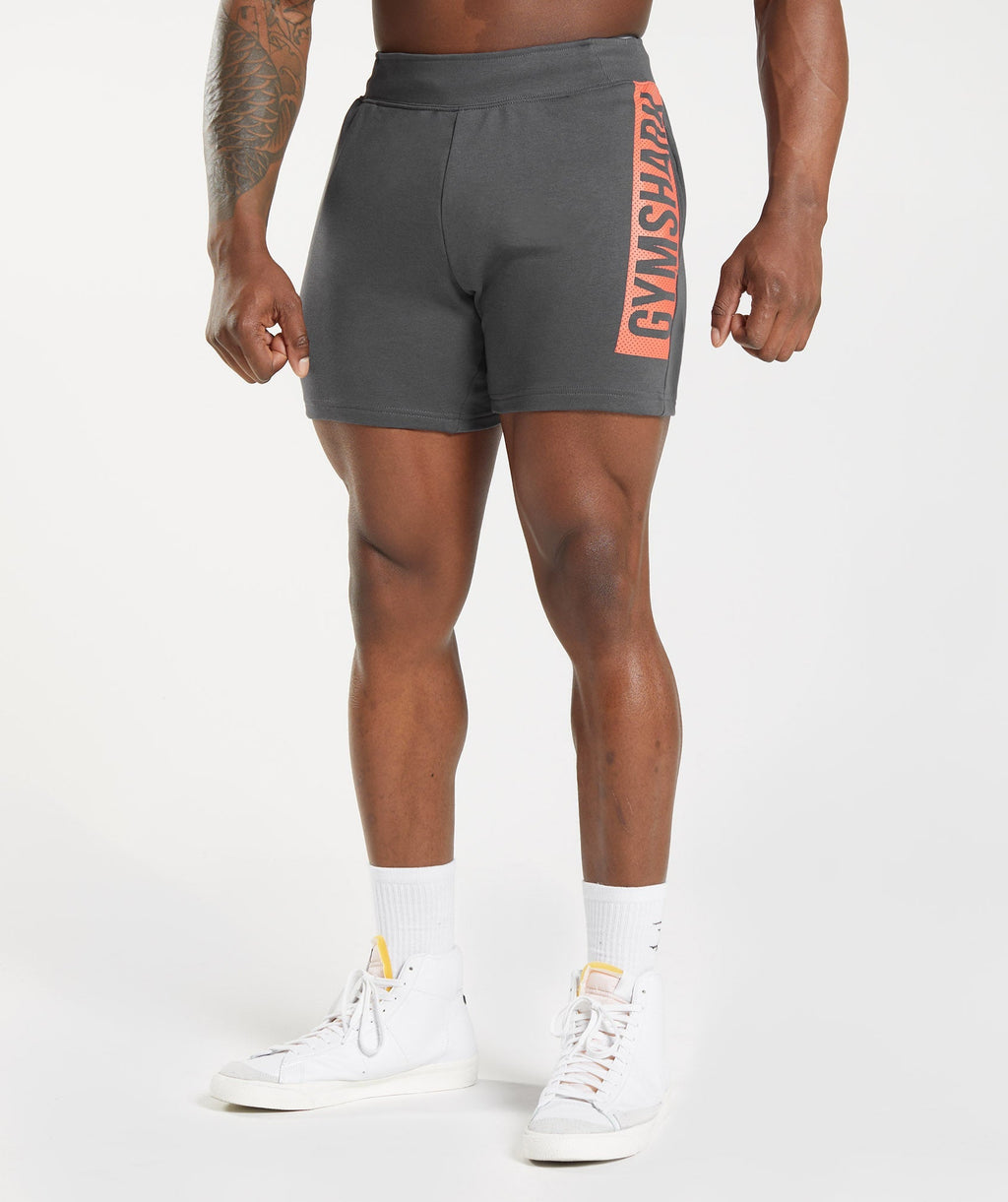 gymshark-bold-shorts-silhouette-grey-ss23