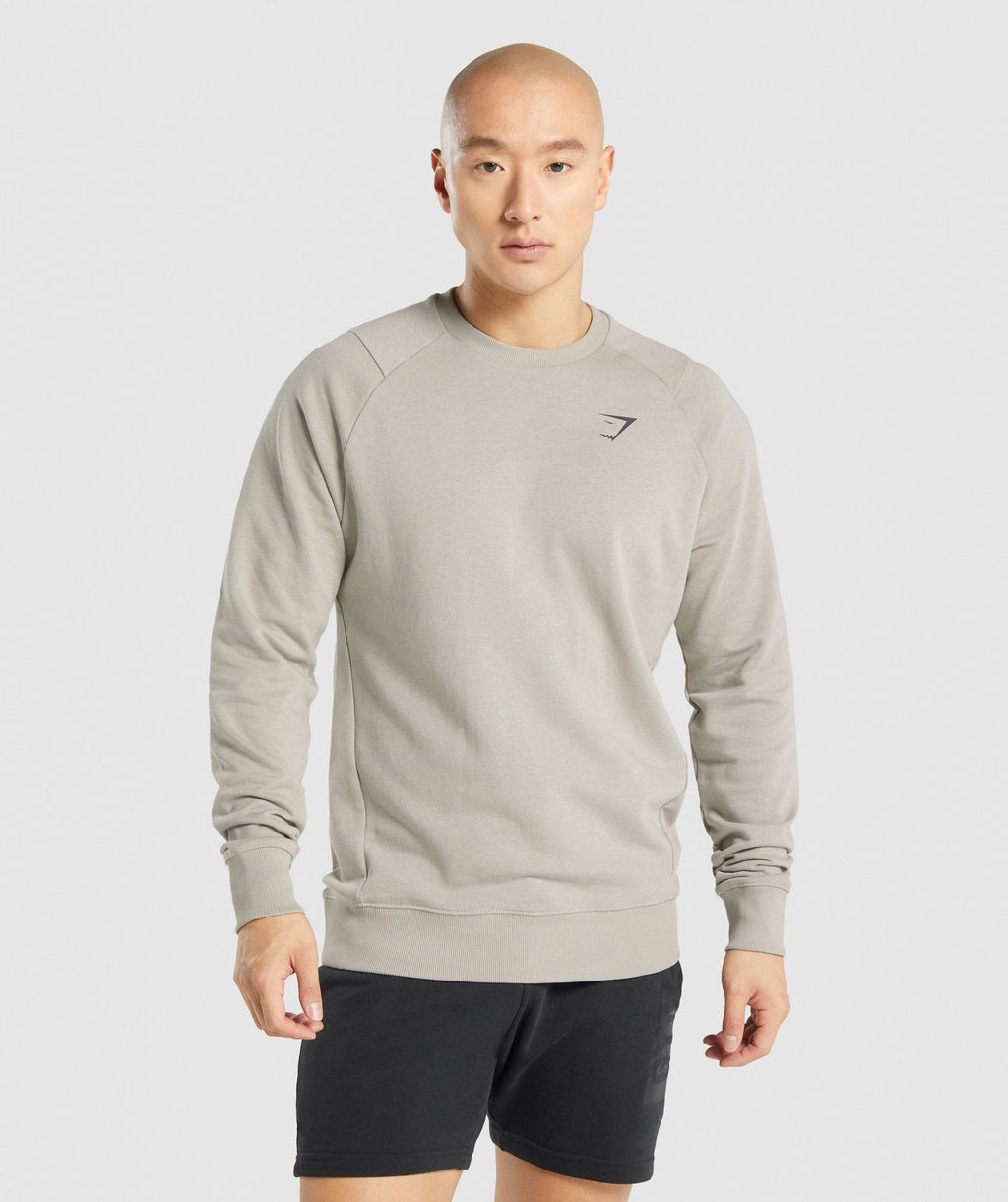 gymshark-bold-crew-grey-aw21