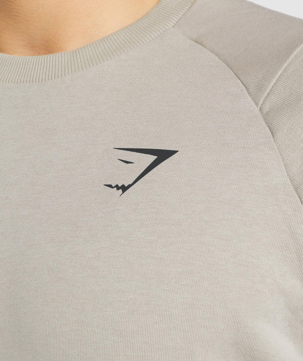 gymshark-bold-crew-grey-aw21