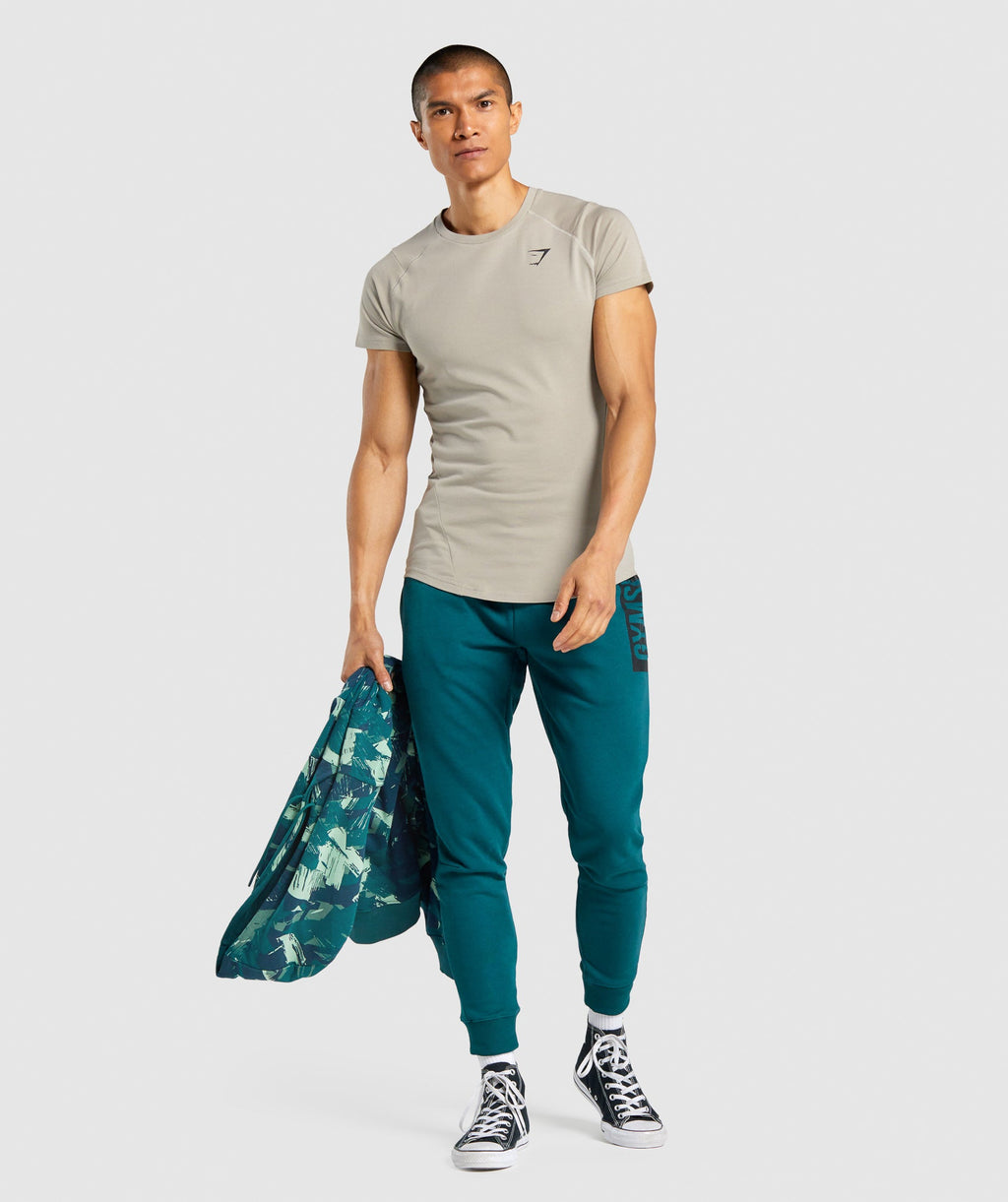 gymshark-bold-muscle-fit-t-shirt-grey-aw21