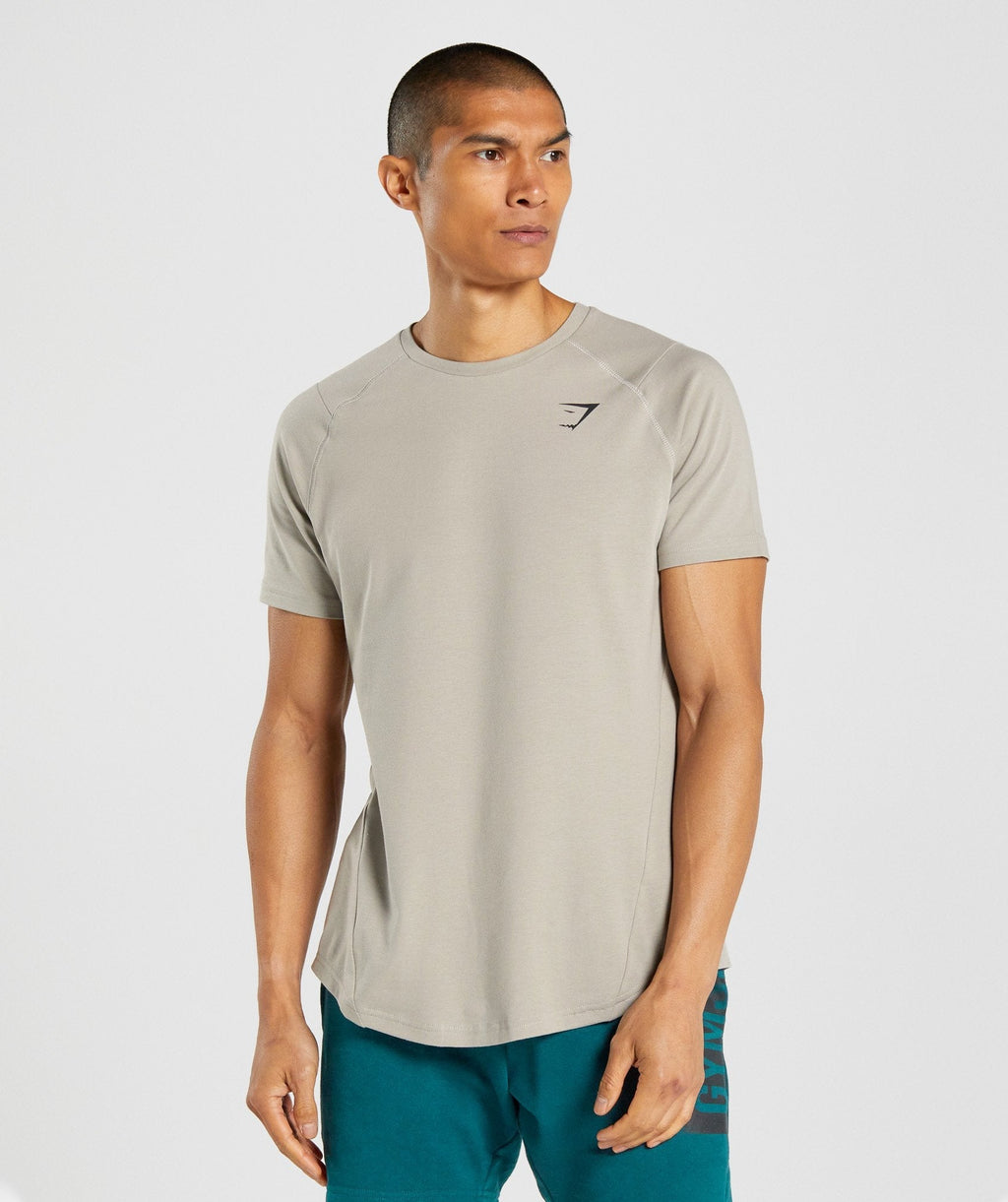 gymshark-bold-t-shirt-grey-aw21