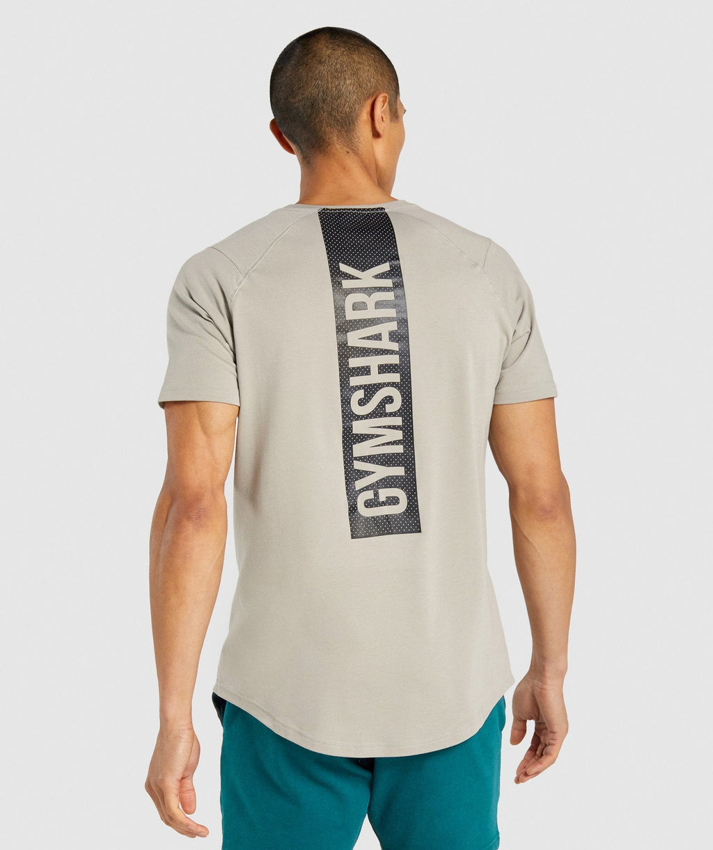 gymshark-bold-t-shirt-grey-aw21