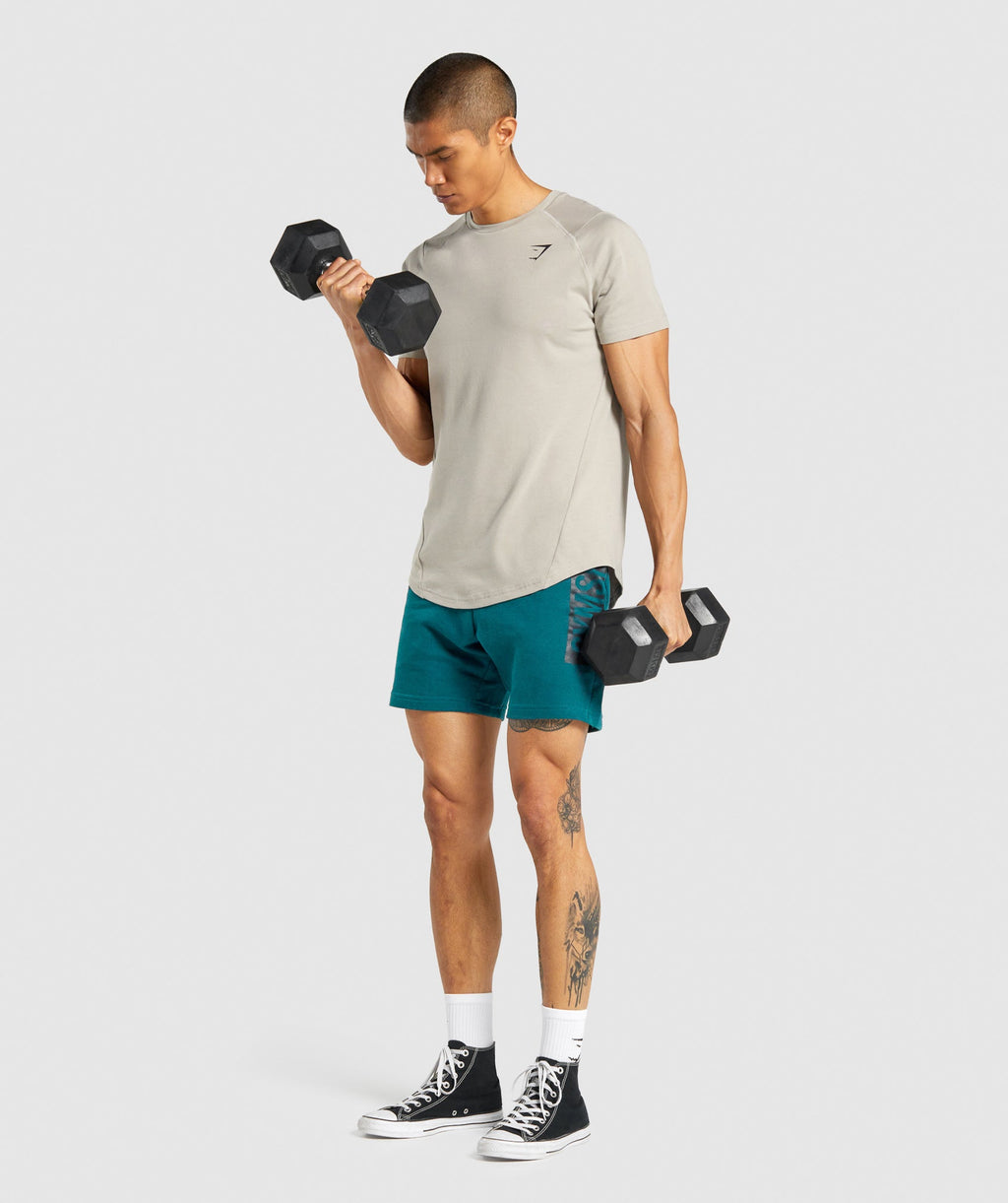 gymshark-bold-t-shirt-grey-aw21