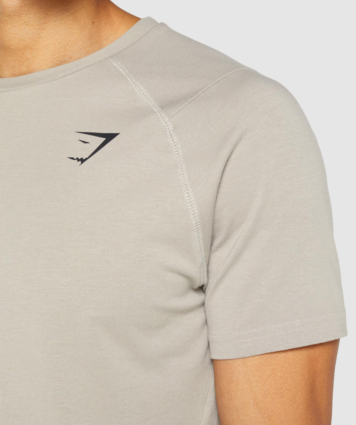 gymshark-bold-t-shirt-grey-aw21