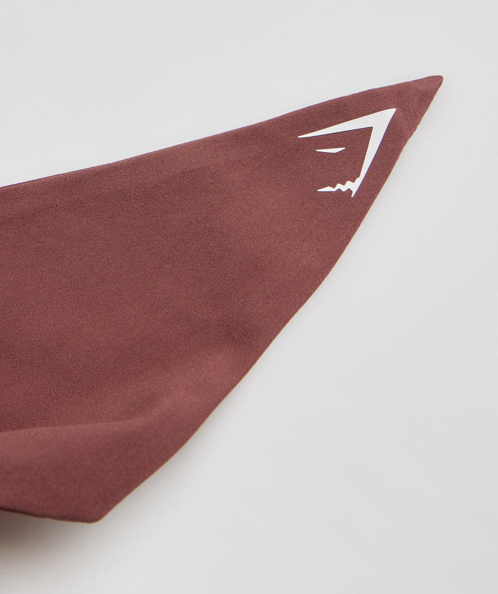 gymshark-bow-scrunchie-cherry-brown-aw22