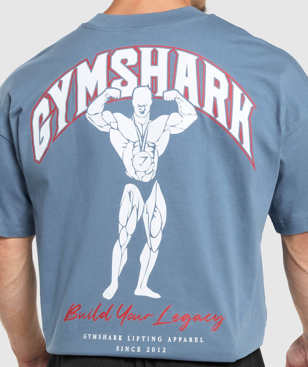 gymshark-build-your-legacy-graphic-t-shirt-faded-blue-aw24