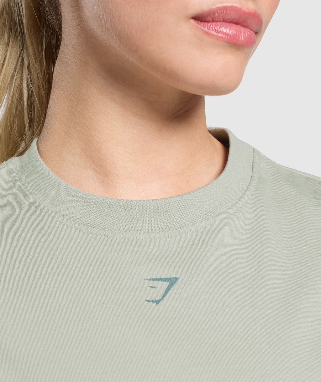 gymshark-campus-classics-graphic-t-shirt-stone-grey-ss25