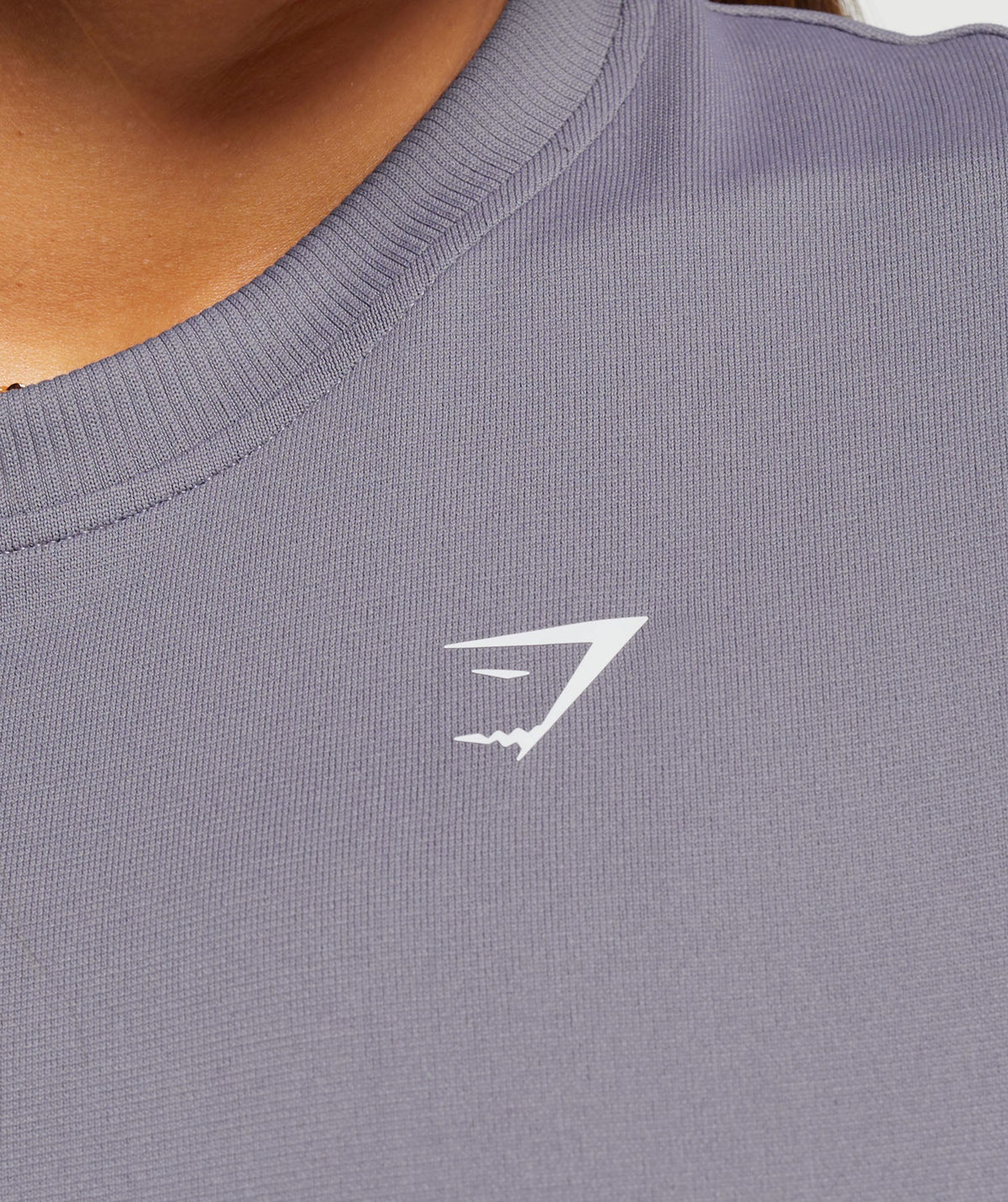 gymshark-everyday-seamless-t-shirt-fog-purple-ss24