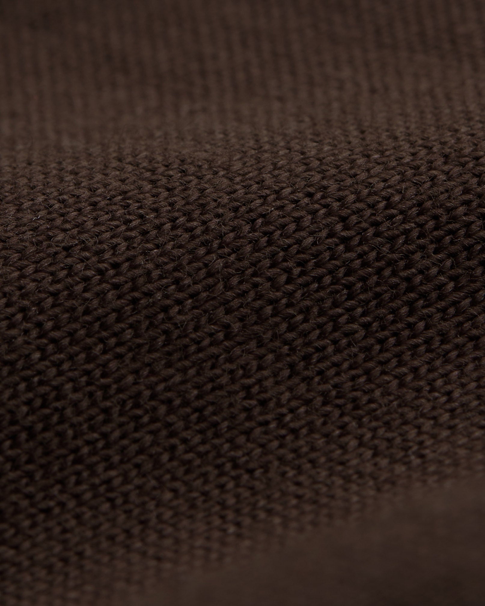 gymshark-phys-ed-graphic-t-shirt-archive-brown-ss24