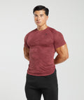 gymshark-geo-seamless-t-shirt-soft-berry-rich-maroon-aw23