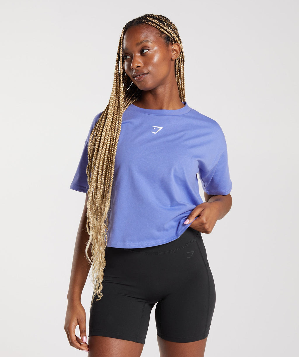gymshark-central-graphic-midi-tee-grape-blue-ss23