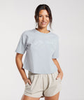 gymshark-embroidered-graphic-midi-t-shirt-river-stone-grey-ss23