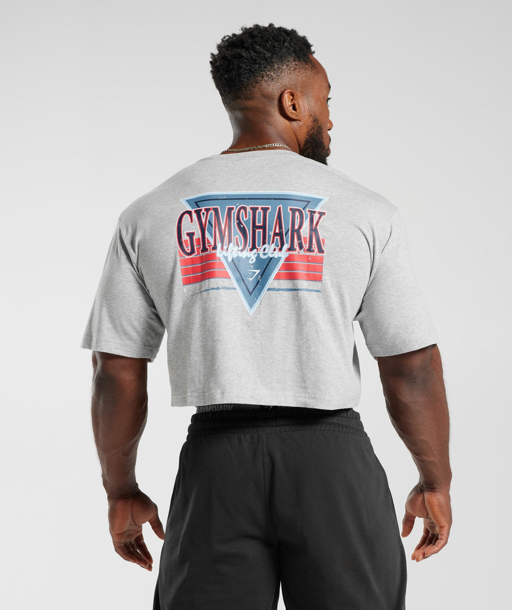gymshark-retrowave-crop-t-shirt-light-grey-core-marl-ss23