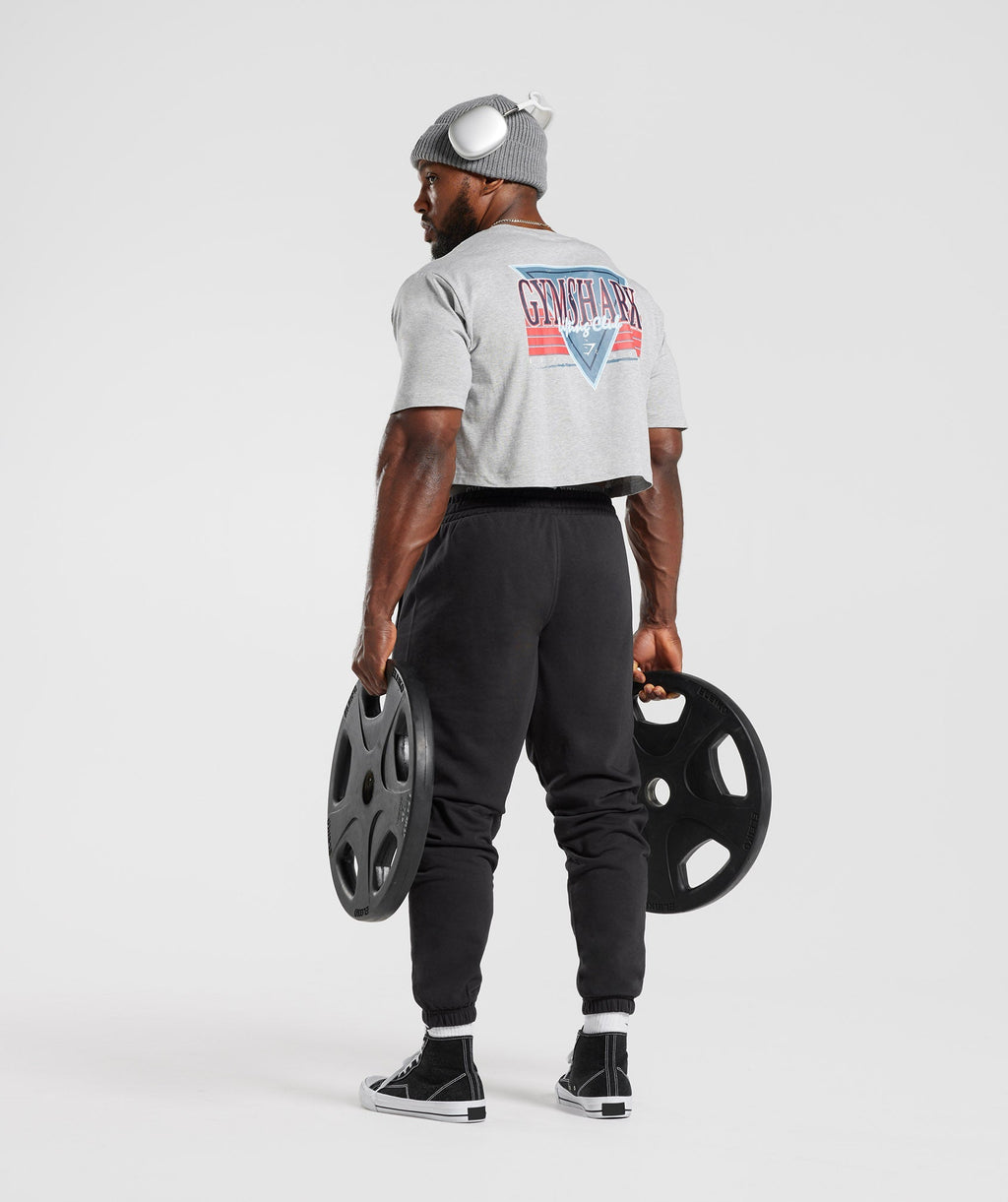 gymshark-retrowave-crop-t-shirt-light-grey-core-marl-ss23