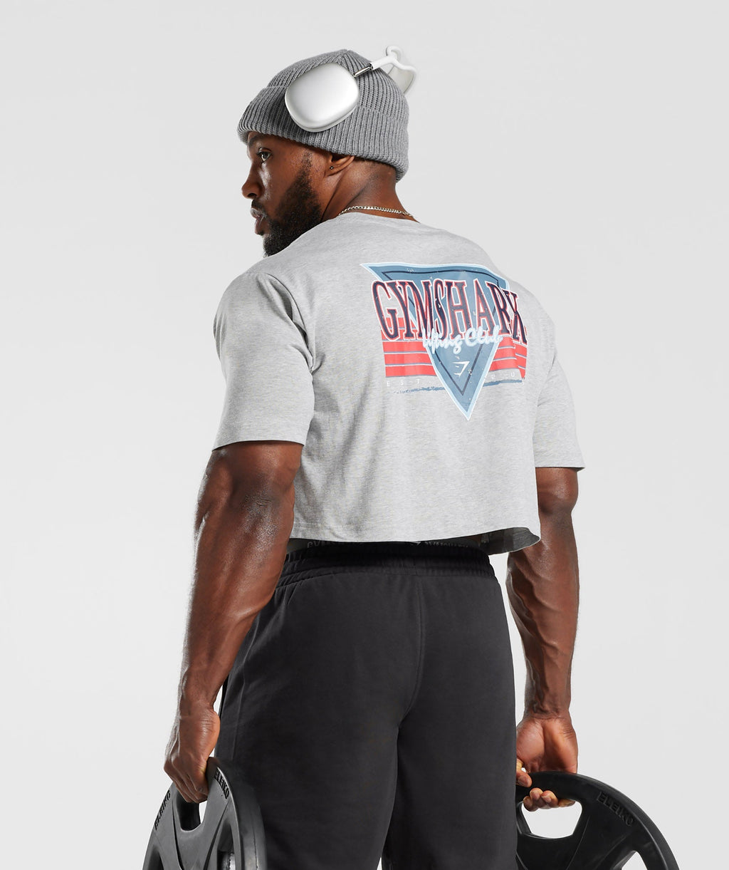 gymshark-retrowave-crop-t-shirt-light-grey-core-marl-ss23