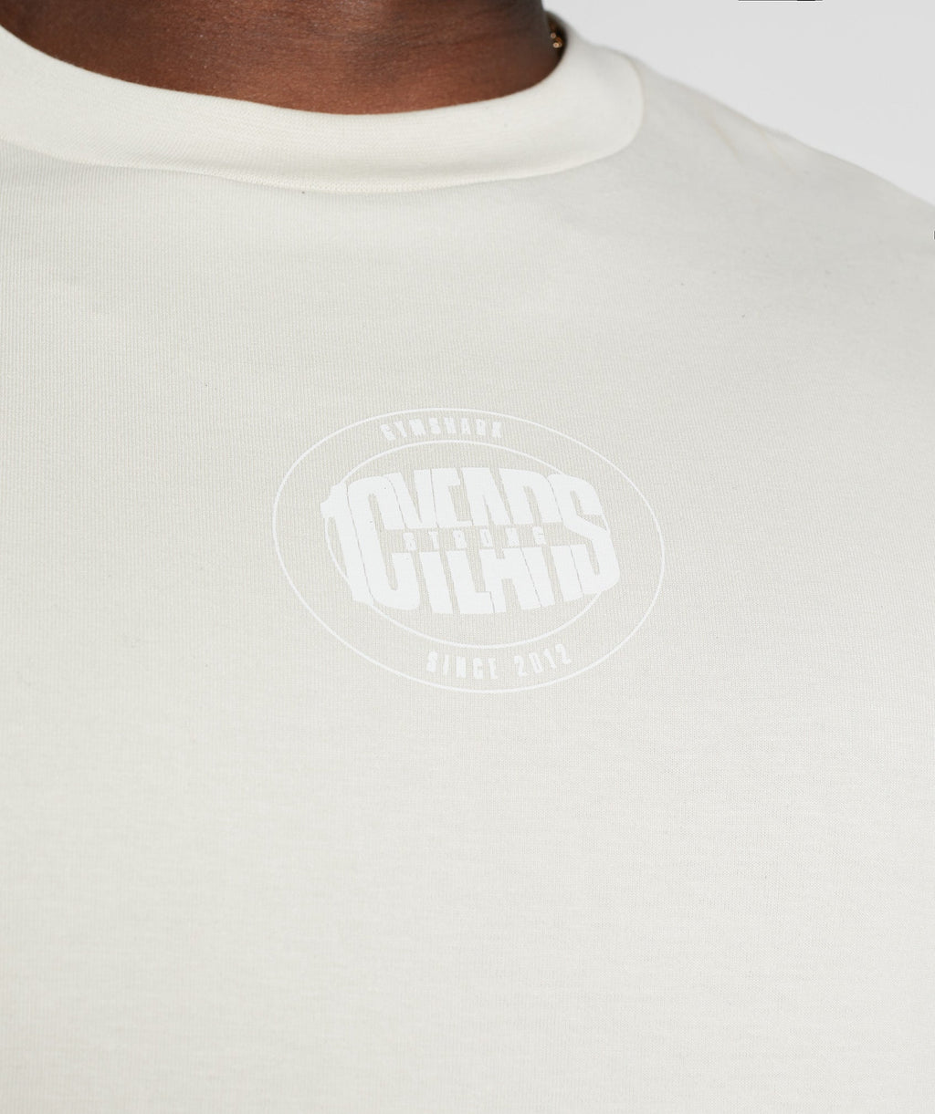 gymshark-gs10-year-oversized-long-sleeve-t-shirt-chalky-grey-aw22