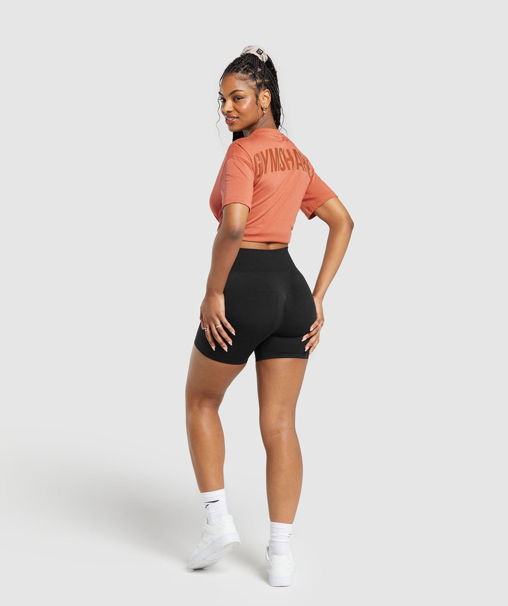 power-oversized-t-shirt-terracotta-orange-ss24