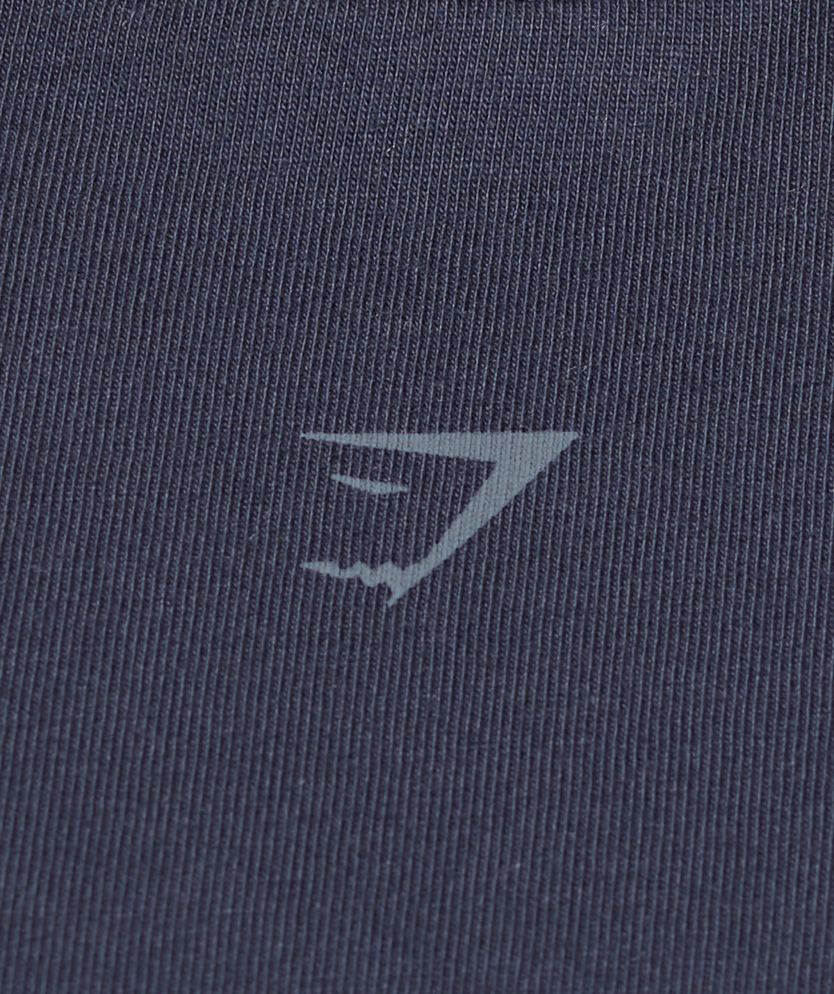 gymshark-gymshark-wordmark-graphic-long-sleeve-top-ls-tops-blue-ss25