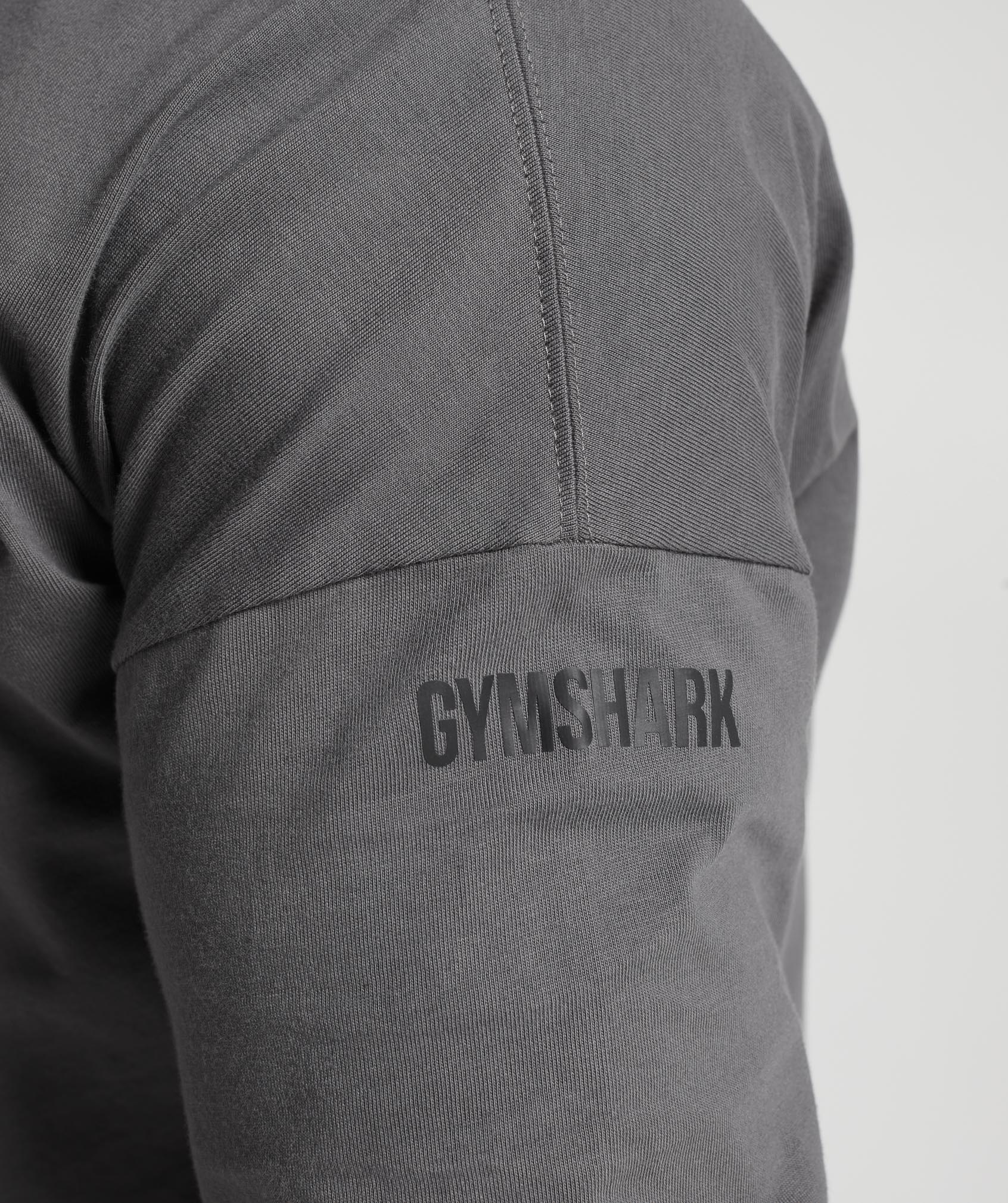 gs-x-david-laid-oversized-long-sleeve-t-shirt-wolf-grey-aw23-6759437