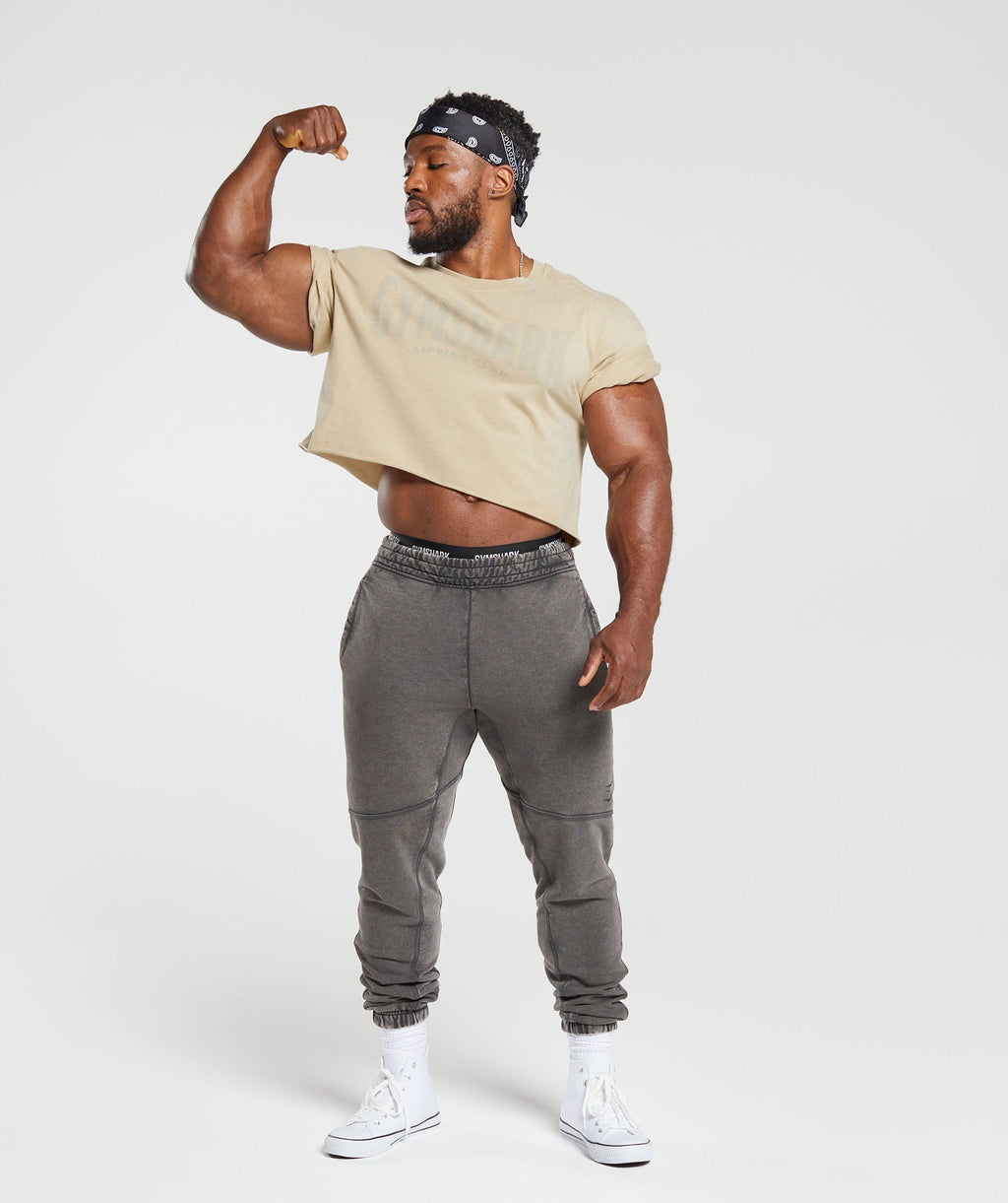 gymshark-heritage-washed-crop-t-shirt-desert-beige-aw23