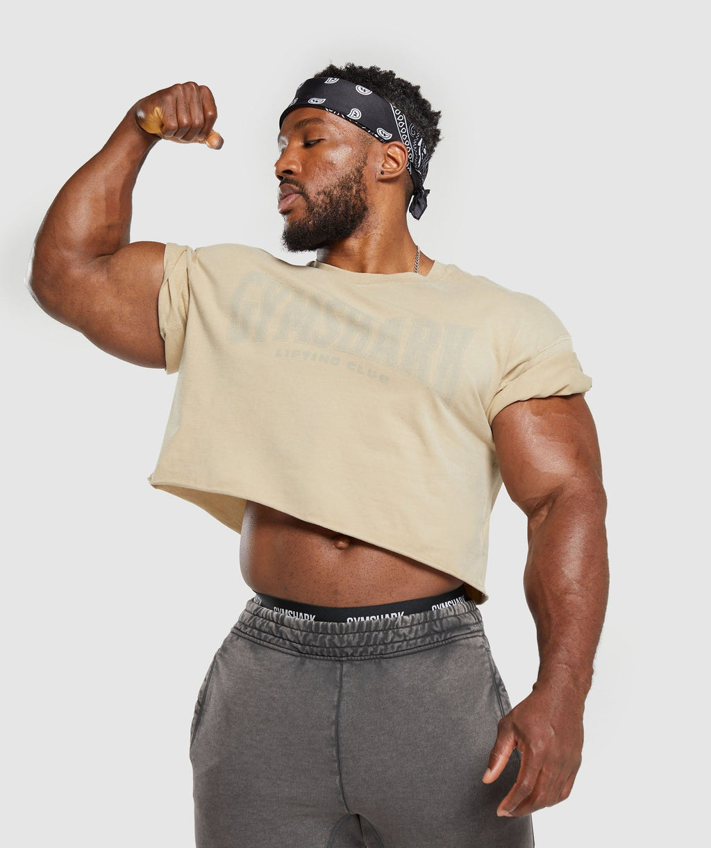 gymshark-heritage-washed-crop-t-shirt-desert-beige-aw23