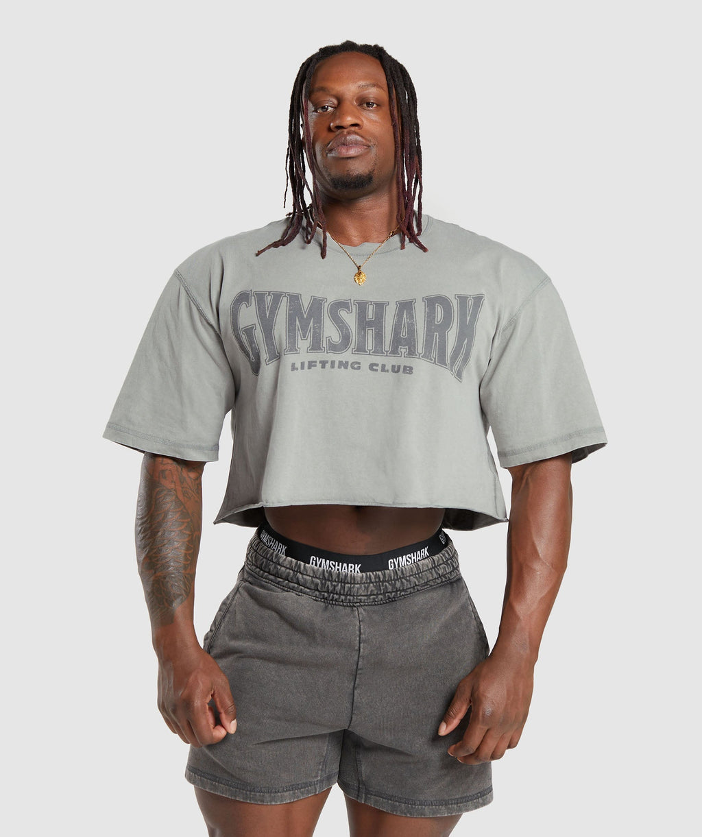 gymshark-heritage-washed-crop-t-shirt-smokey-grey-aw23
