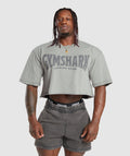 gymshark-heritage-washed-crop-t-shirt-smokey-grey-aw23