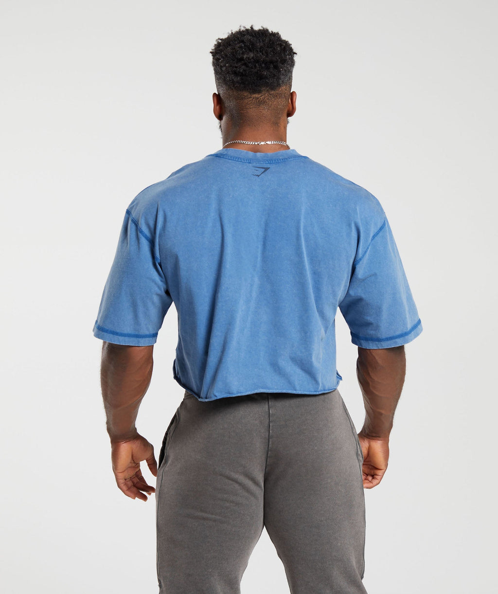 gymshark-heritage-washed-crop-t-shirt-vintage-blue-aw23