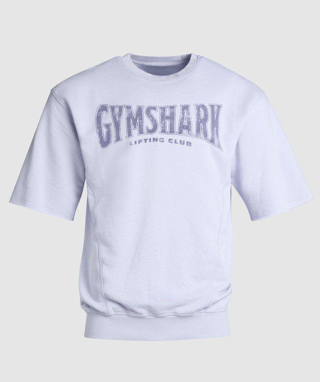 gymshark-heritage-washed-short-sleeve-crew-silver-lilac-ss24