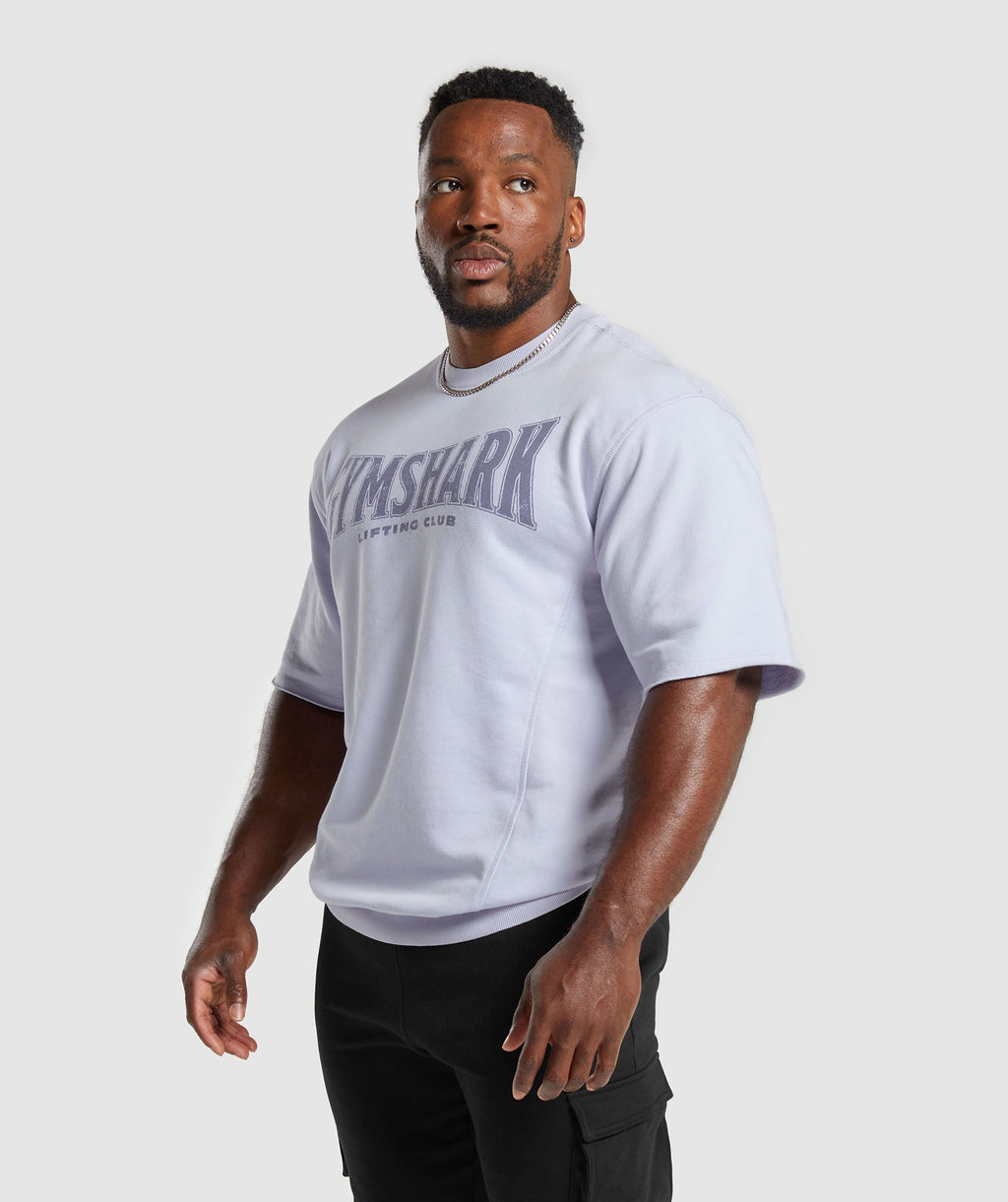 gymshark-heritage-washed-short-sleeve-crew-silver-lilac-ss24