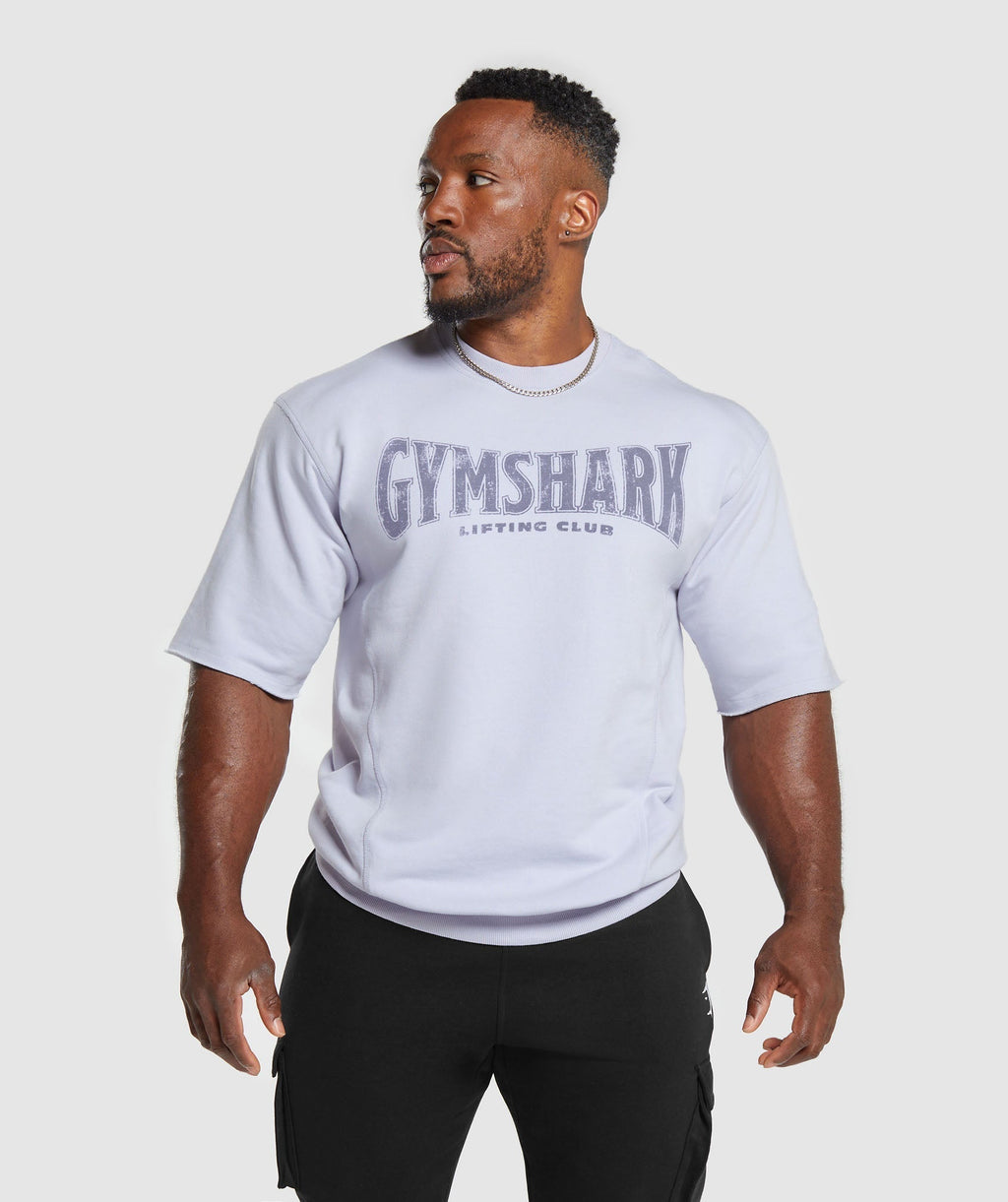 gymshark-heritage-washed-short-sleeve-crew-silver-lilac-ss24