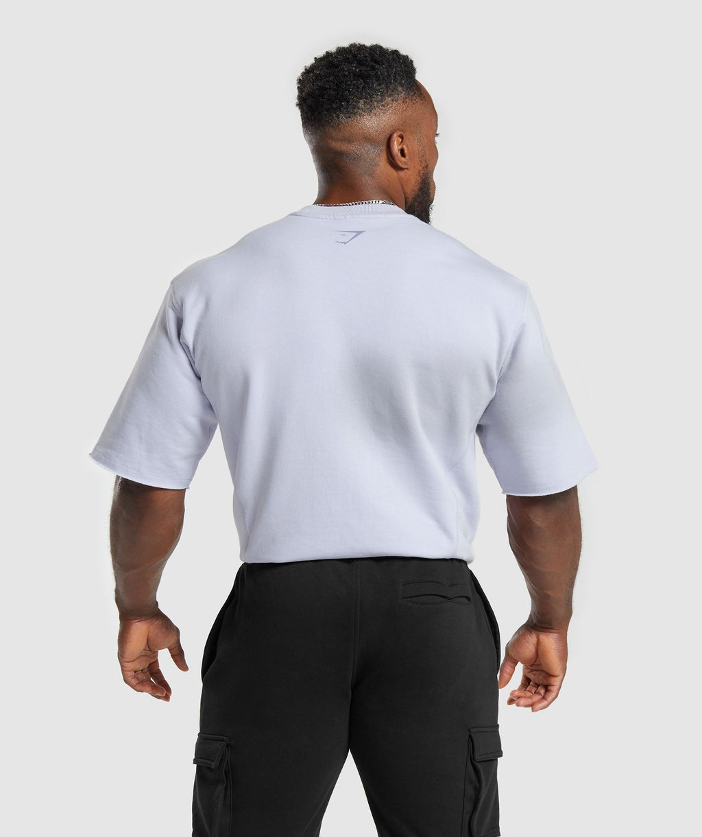 gymshark-heritage-washed-short-sleeve-crew-silver-lilac-ss24
