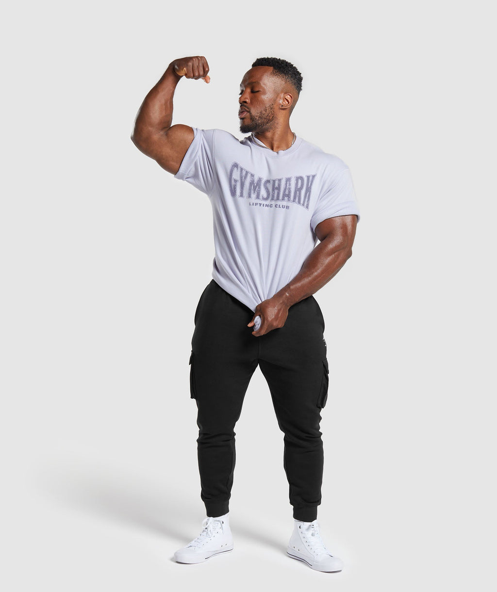 gymshark-heritage-washed-short-sleeve-crew-silver-lilac-ss24