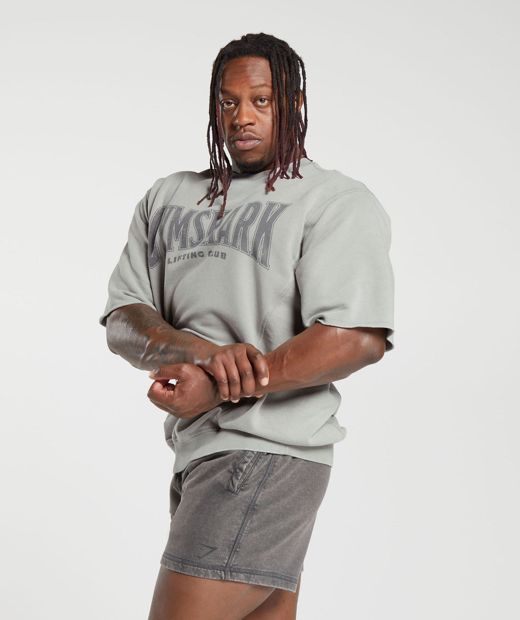 gymshark-heritage-washed-short-sleeve-crew-smokey-grey-aw23