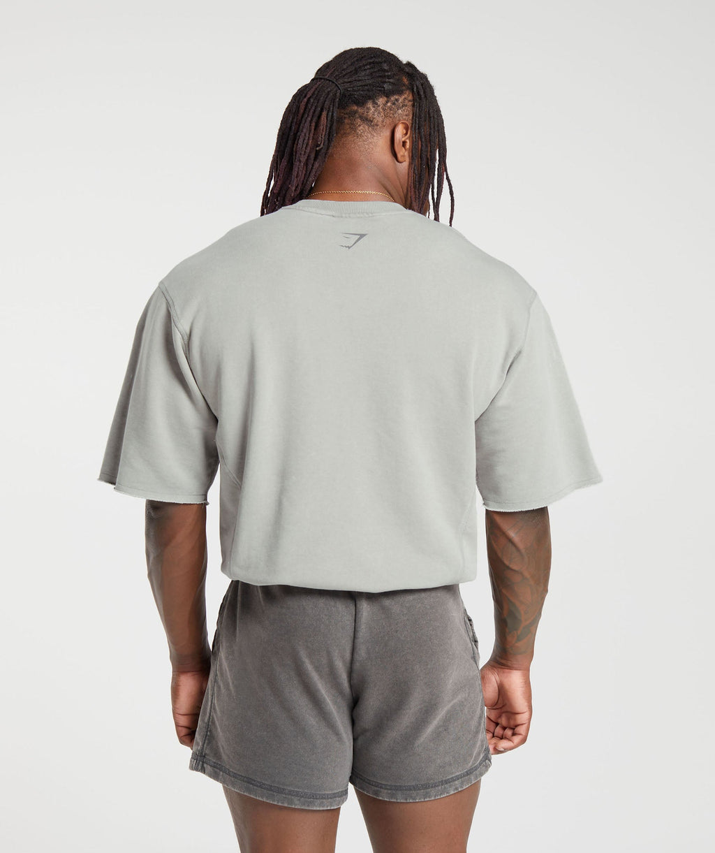gymshark-heritage-washed-short-sleeve-crew-smokey-grey-aw23