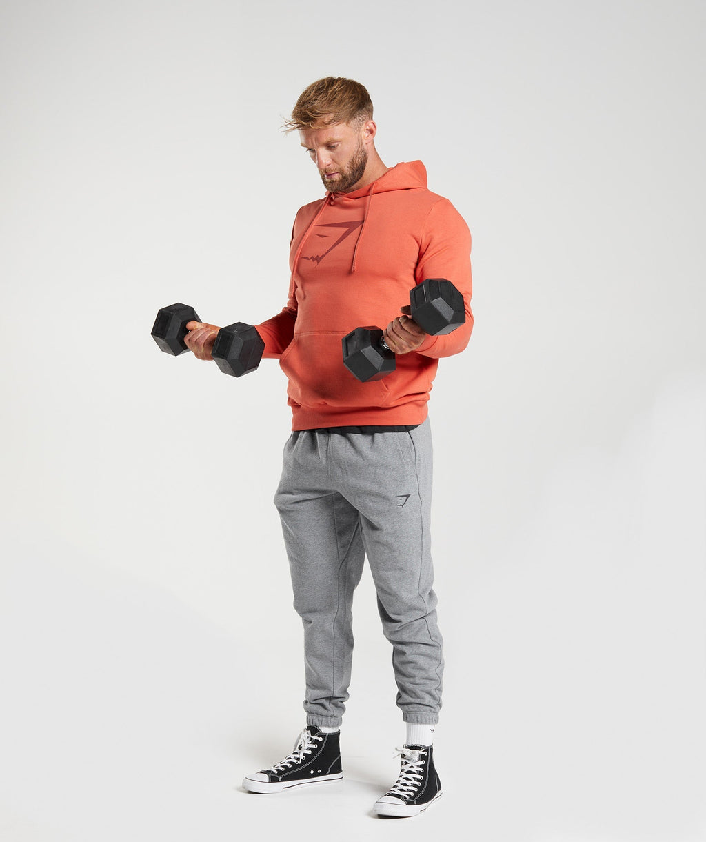 gymshark-sharkhead-infill-hoodie-storm-red-aw22