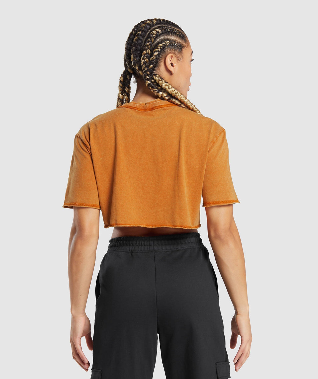 gymshark-legacy-washed-crop-top-charred-orange-aw23