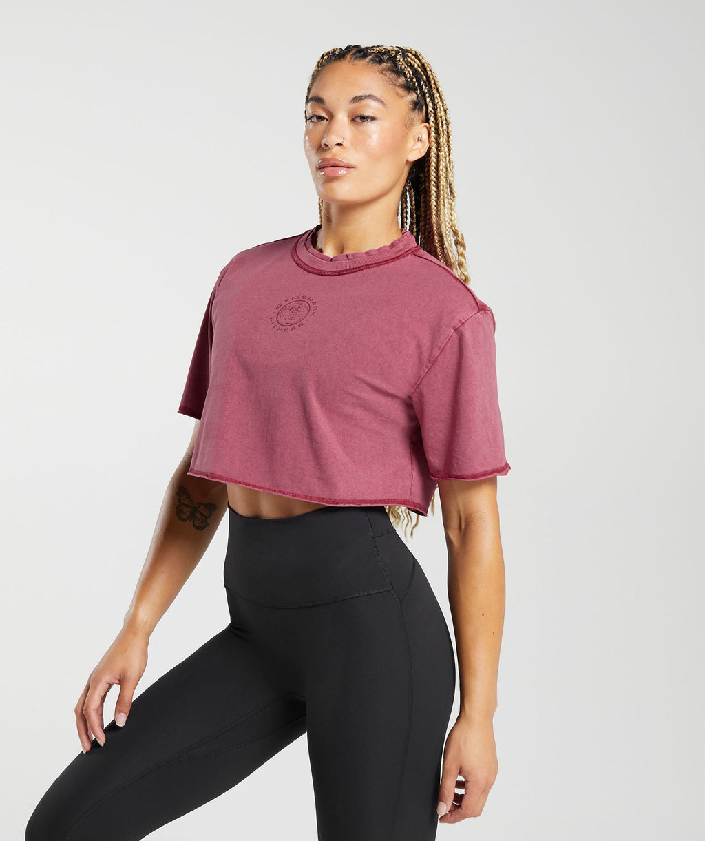 gymshark-legacy-washed-crop-top-raspberry-pink-aw23