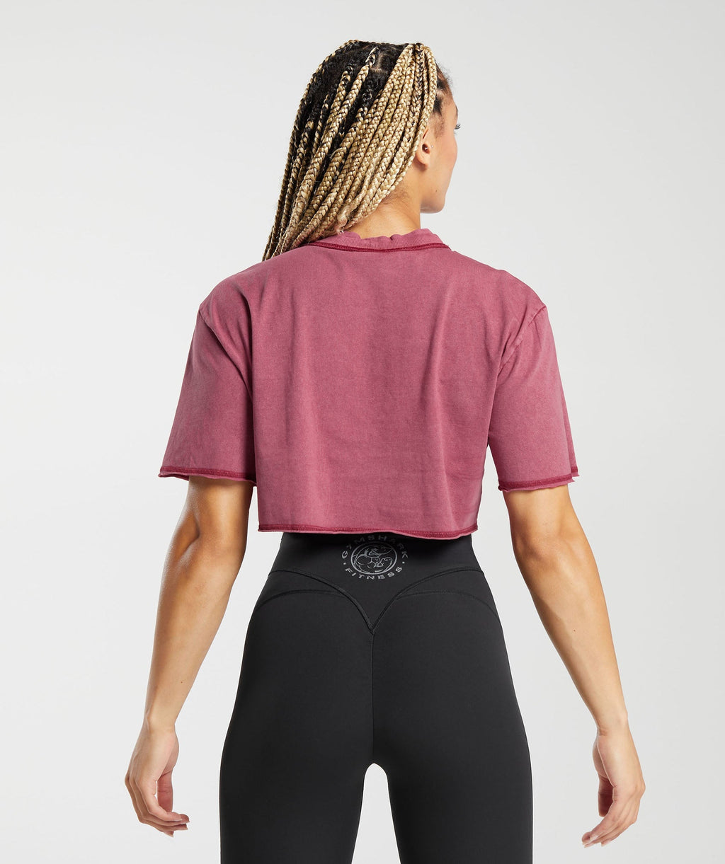 gymshark-legacy-washed-crop-top-raspberry-pink-aw23