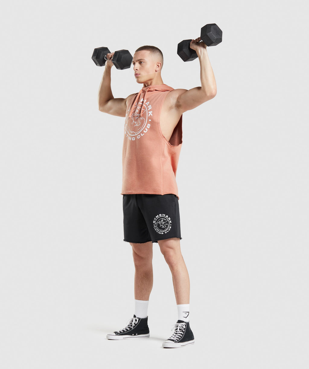gymshark-legacy-drop-arm-hoodie-nevada-pink-ss22