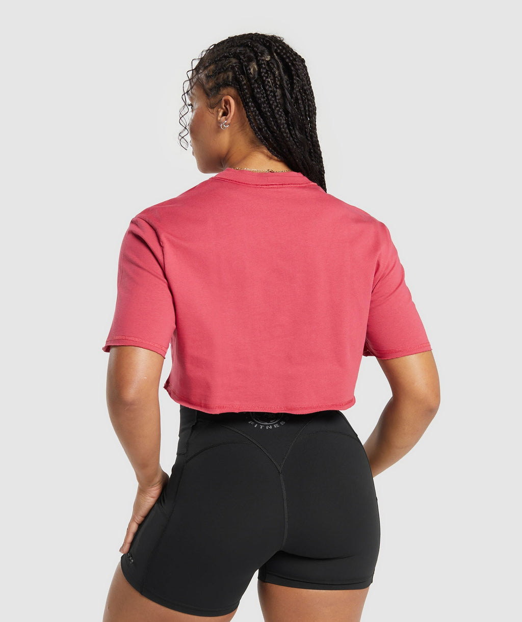 gymshark-legacy-graphic-crop-top-vintage-pink-ss24