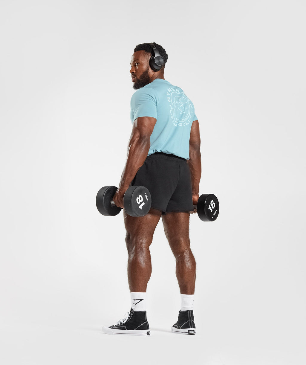 gymshark-legacy-t-shirt-iceberg-blue-ss23