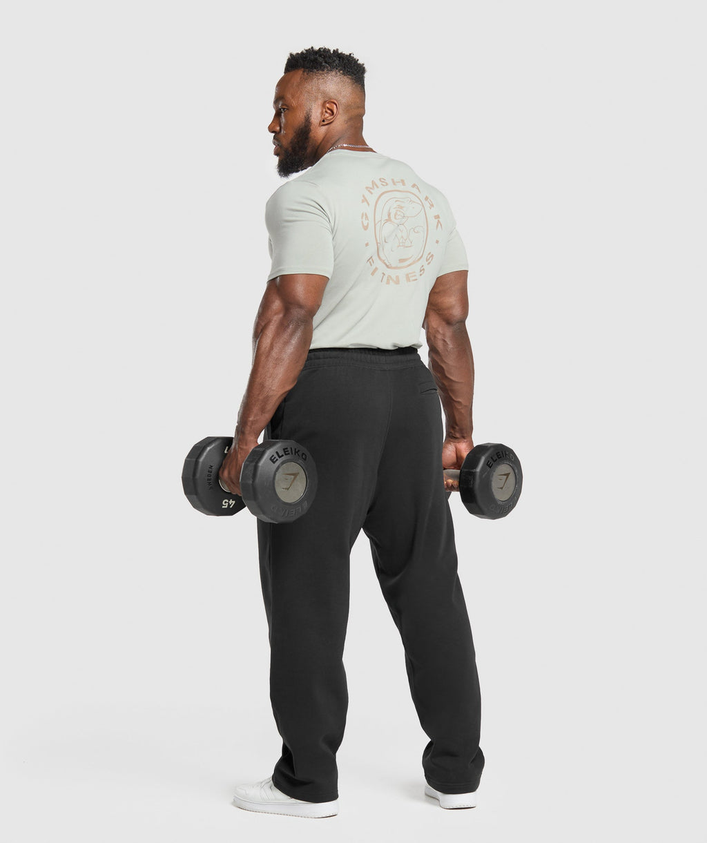 gymshark-legacy-t-shirt-stone-grey-ss25