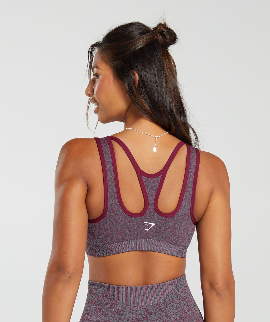 gymshark-marl-seamless-scoop-bra-plum-pink-marl-dark-grey-marl-plum-pink-aw23