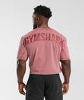 gymshark-power-washed-t-shirt-sundried-red-ss23