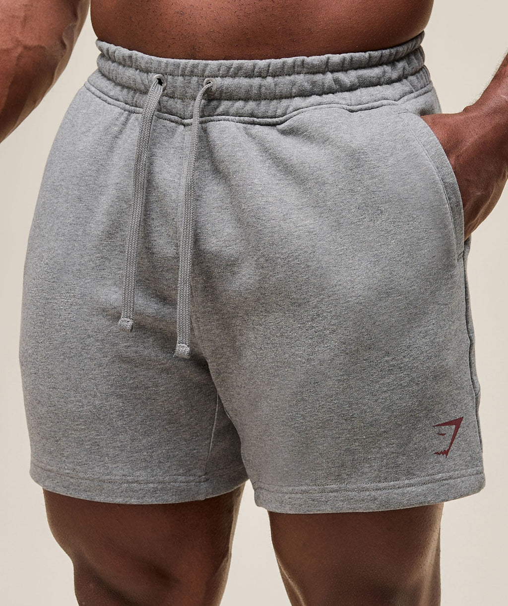 gymshark-power-5-shorts-shorts-grey-ss25